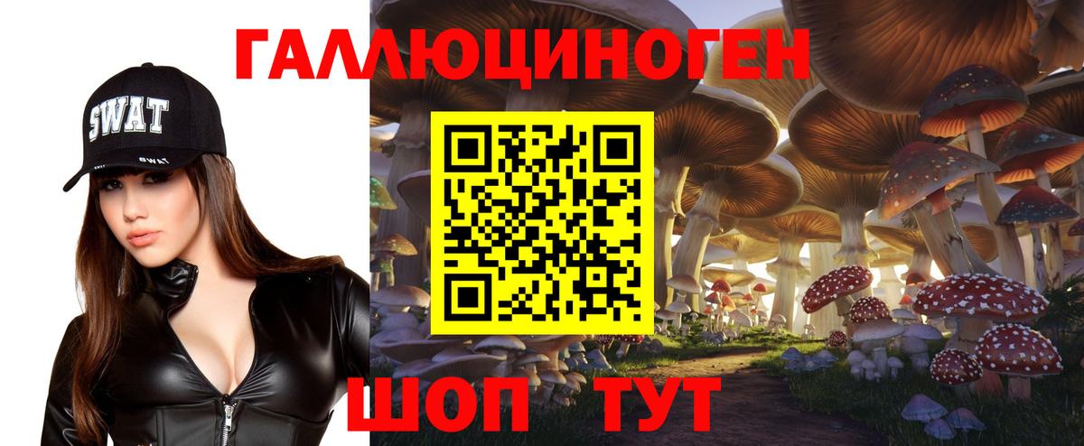 Россошь  Псилоцибиновые грибы GOLDEN TEACHER  Вход с VPN 